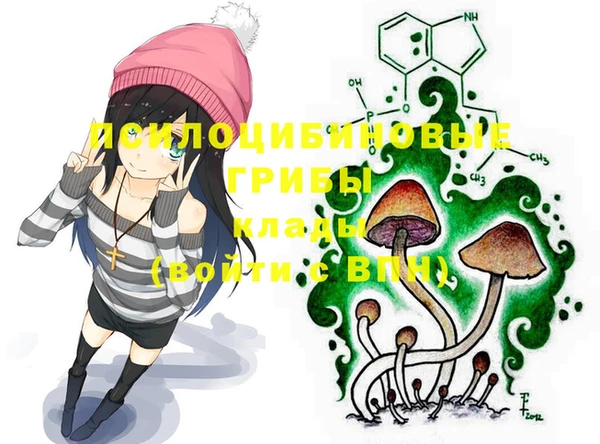 прущие крисы Михайловка