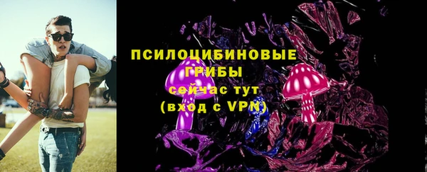мескалин Михайлов