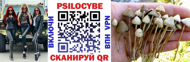 Псилоцибиновые грибы MAGIC MUSHROOMS  Ярославль 