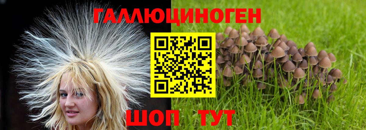 Галлюциногенные грибы мицелий  Вход с VPN  что такое наркотик  Ярославль 