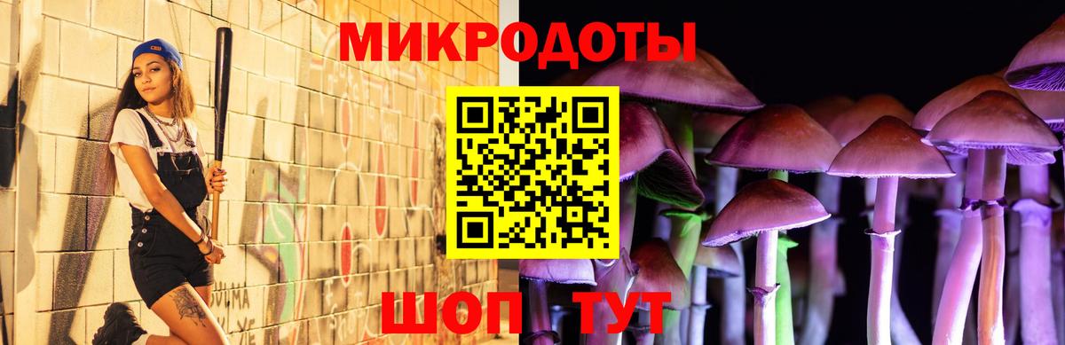 Галлюциногенные грибы мицелий Ярославль